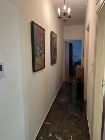 Spacious And Sunny Appartment In Cholargos Atene Esterno foto